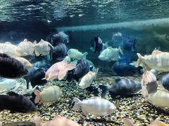 -成都浩海立方海洋公园