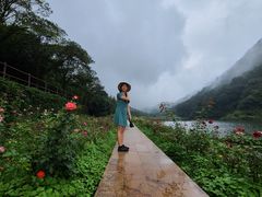 -广州市石门国家森林公园