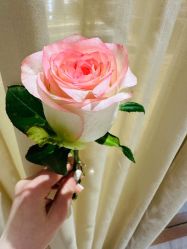 -苑苑vbeauty科技美容SPA