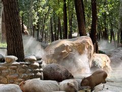 -北京野生动物园
