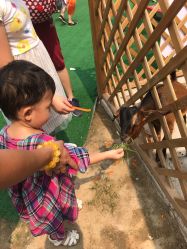 -萌宠亲子动物乐园(槐房万达店)