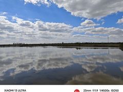 -盐城丹顶鹤湿地生态旅游区