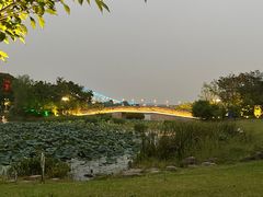 -澹台湖公园