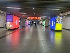 -东方体育中心(地铁站)