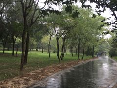 -秦始皇帝陵博物院-丽山园