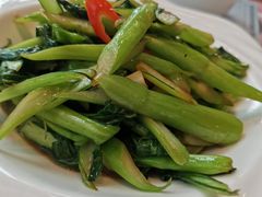 清炒菜心-赵小姐丨新中餐(曲江店)