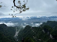 -张家界天门山国家森林公园