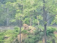 -石家庄市动物园