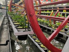 -兰陵国家农业公园