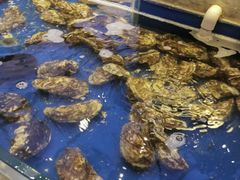 -川骄海鲜自助(河东店)