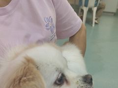 -动物缘宠物医院·骨科·猫科(西二环店)