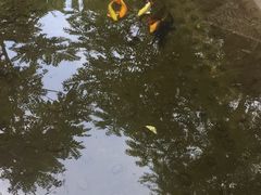 -十三陵山水雅园农家院