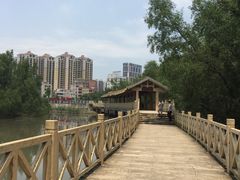 -大亚湾红树林城市湿地公园
