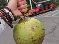 -碧桂园十里银滩