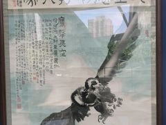 -凤凰中心
