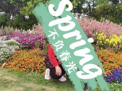 -秀丽东方