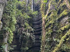 -梭布垭石林景区