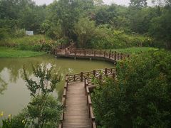 -桤木河湿地公园