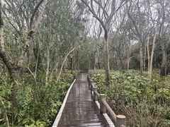 -新江湾城公园