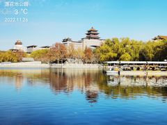 -莲花池公园