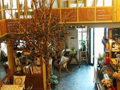 -Cafe Alice咖啡爱丽丝(奥城店)