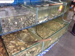 水产区-蟹谢蒸鲜自助餐厅