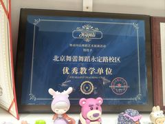 -舞蕾舞蹈·专注中国舞18年(永定路校区)