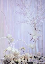 -汕尾陆丰婚庆婚礼司仪主持洪立策划公司(东海店)
