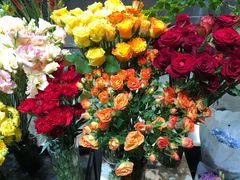 -植物学家的女儿(北马道巷店)