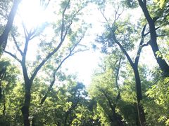 -北京大学-燕南食堂