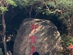 -野狸岛