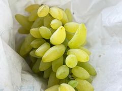 -马陆小张葡萄园农家乐