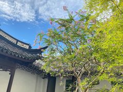 -上海醉白池公园