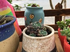-EVA咖啡小酒馆