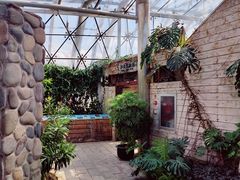 -北京植物园-展览温室