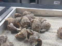 -福禧荟·海鲜自助