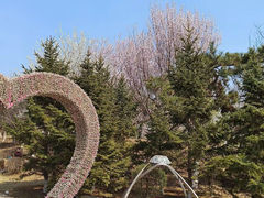 -莫子山公园
