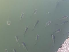 -艾溪湖湿地公园