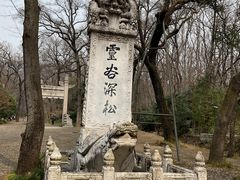 -灵谷景区