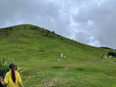 -大姆山草场