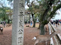 -奈良公园