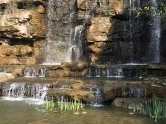 -铁山坪森林公园