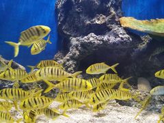 -华夏文旅海洋公园