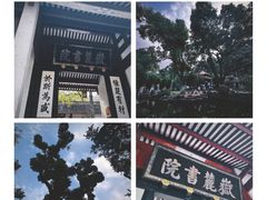 -岳麓书院