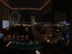 -新加坡文华东方酒店