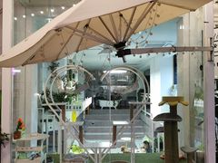露天位-有猫主题·治愈系猫咖(曾厝垵店)