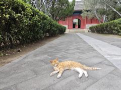 -大钟寺古钟博物馆