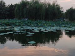 -云居湖