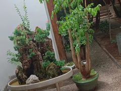 -清真天水老巷道餐厅
