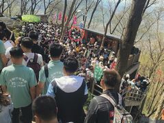 -帽儿山风景区